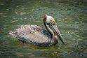 091 Dauphin Island